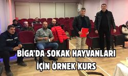 Biga’da sokak hayvanları için örnek kurs