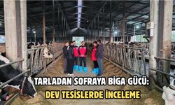 Tarladan sofraya Biga gücü: Dev tesislerde inceleme