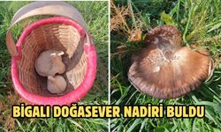 Bigalı doğasever nadiri buldu