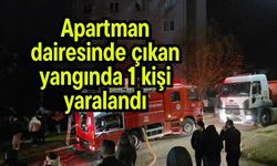 Apartman dairesinde çıkan yangında 1 kişi yaralandı
