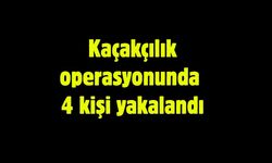 Kaçakçılık operasyonunda 4 kişi yakalandı