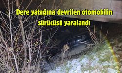 Dere yatağına devrilen otomobilin sürücüsü yaralandı