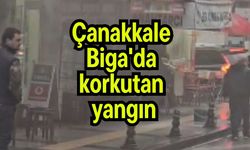 Çanakkale Biga'da korkutan yangın (Video)