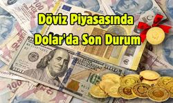 Döviz Piyasasında Dolar'da Son Durum
