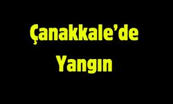 Çanakkale'de yangın