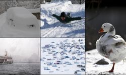 Birçok il yeni yılın ilk gününde beyaza büründü