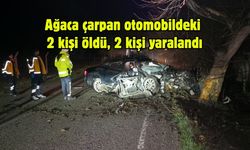 Ağaca çarpan otomobildeki 2 kişi öldü, 2 kişi yaralandı