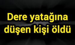 Dere yatağına düşen kişi öldü