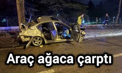 Araç ağaca çarptı