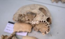 İnsanların genetik haritası çıkarılıyor