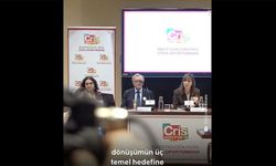 Araştırmacılar farelerde pankreas kanserini tedavi etti