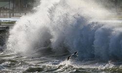 Meteorolojiden denizlerde fırtına uyarısı