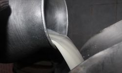 Süt Üreticisinin Yeni Fiyatı Belli Oldu: Litre Başına 22,22 TL