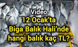 12 Ocak’ta Biga Balık Hali’nde Balık Fiyatları
