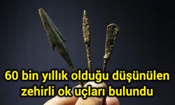 60 bin yıllık olduğu düşünülen zehirli ok uçları bulundu