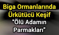 Biga Ormanlarında Ürkütücü Keşif: "Ölü Adamın Parmakları"