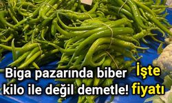 Biga pazarında biber kilo ile değil demetle! İşte fiyatı