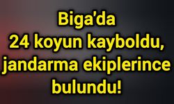 Biga'da 24 koyun kayboldu, jandarma ekiplerince bulundu!