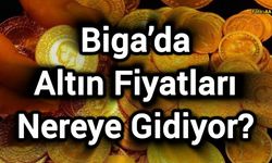 Biga’da Altın Fiyatları Nereye Gidiyor?