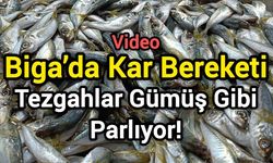 Biga’da Kar Bereketi: Tezgahlar Gümüş Gibi Parlıyor!