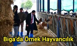 Biga’da Örnek Hayvancılık
