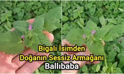 Bigalı İsimden Doğanın Sessiz Armağanı: Ballıbaba