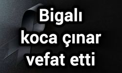 Bigalı koca çınar vefat etti