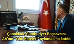 Çanakkale Cumhuriyet Başsavcısı, AA'nın "Yılın Kareleri" oylamasına katıldı