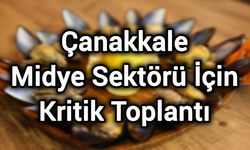 Çanakkale Midye Sektörü İçin Kritik Toplantı