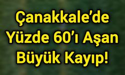 Çanakkale’de Yüzde 60’ı Aşan Büyük Kayıp!