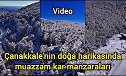 Çanakkale'nin doğa harikasında muazzam kar manzaraları (Video)
