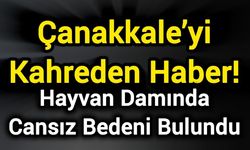 Çanakkale’yi Kahreden Haber! Hayvan Damında Cansız Bedeni Bulundu