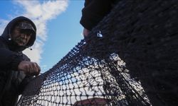 Hamsi ve sardalya yüz güldürdü