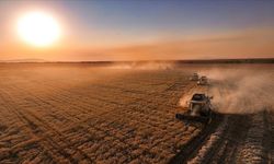 IPARD-III desteklerine yoğun ilgi