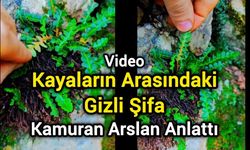 Kayaların Arasındaki Gizli Şifa: Kamuran Arslan Anlattı