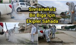 Sivrisineksiz Bir Biga İçin Ekipler Sahada