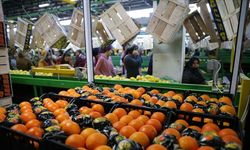 Tarım sektöründen tüm zamanların rekoru