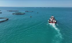 Türkiye'de balık üretiminde cumhuriyet tarihinin rekoru kırıldı