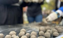 Çanakkale’de Küllerinden Doğan Ormanlar İçin “Tohum Topu” Seferberliği