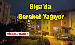 Biga’da Bereket Yağıyor: Yağışlar Çiftçinin Yüzünü Güldürdü