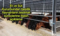 Et ve Süt Kurumundan besilik hayvanların teslimat süreçlerine ilişkin açıklama