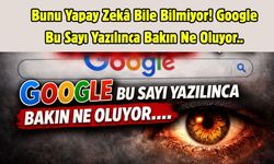 Bunu Yapay Zeka Bile Bilmiyor! Google Bu Sayı Yazılınca Bakın Ne Oluyor