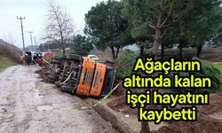 Ağaçların altında kalan işçi hayatını kaybetti