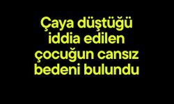 Çaya düştüğü iddia edilen çocuğun cansız bedeni bulundu