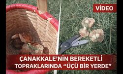 Çanakkale’nin bereketli topraklarında "üçü bir yerde"
