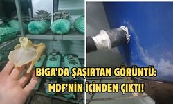 Biga’da şaşırtan görüntü: MDF’nin içinden çıktı!