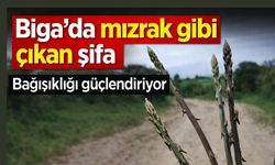 Biga’da mızrak gibi çıkan şifa