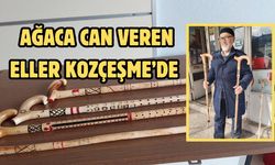 Ağaca can veren eller Kozçeşme’de