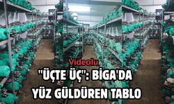 "Üçte Üç": Biga'da yüz güldüren tablo