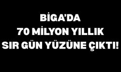 Biga’da 70 milyon yıllık sır gün yüzüne çıktı!